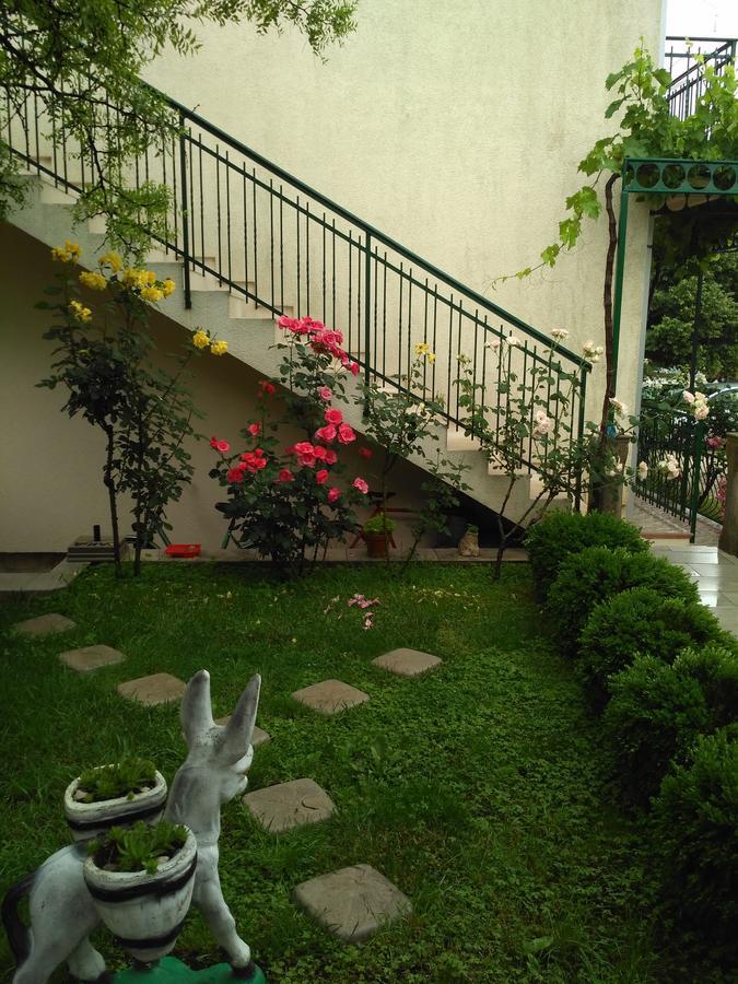 Apartmani Villa Radovic Risan Zewnętrze zdjęcie