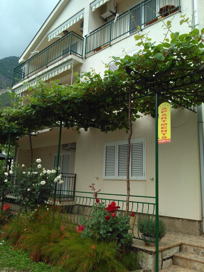 Apartmani Villa Radovic Risan Zewnętrze zdjęcie