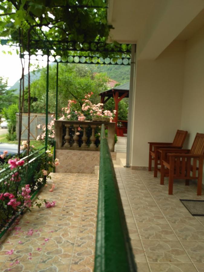Apartmani Villa Radovic Risan Zewnętrze zdjęcie